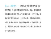 第6课 《变色龙》课件 2024—2025学年统编版语文九年级下册