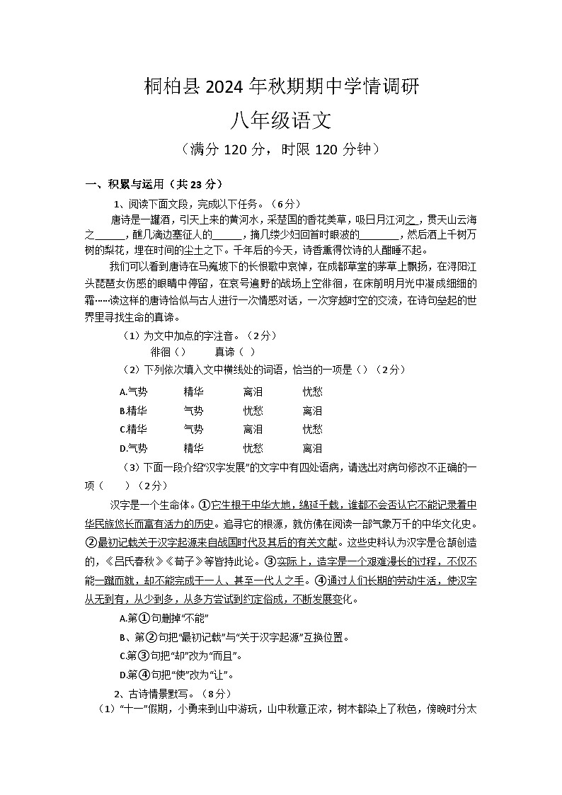 河南省南阳市桐柏县2024-2025学年八年级上学期11月期中语文试题01