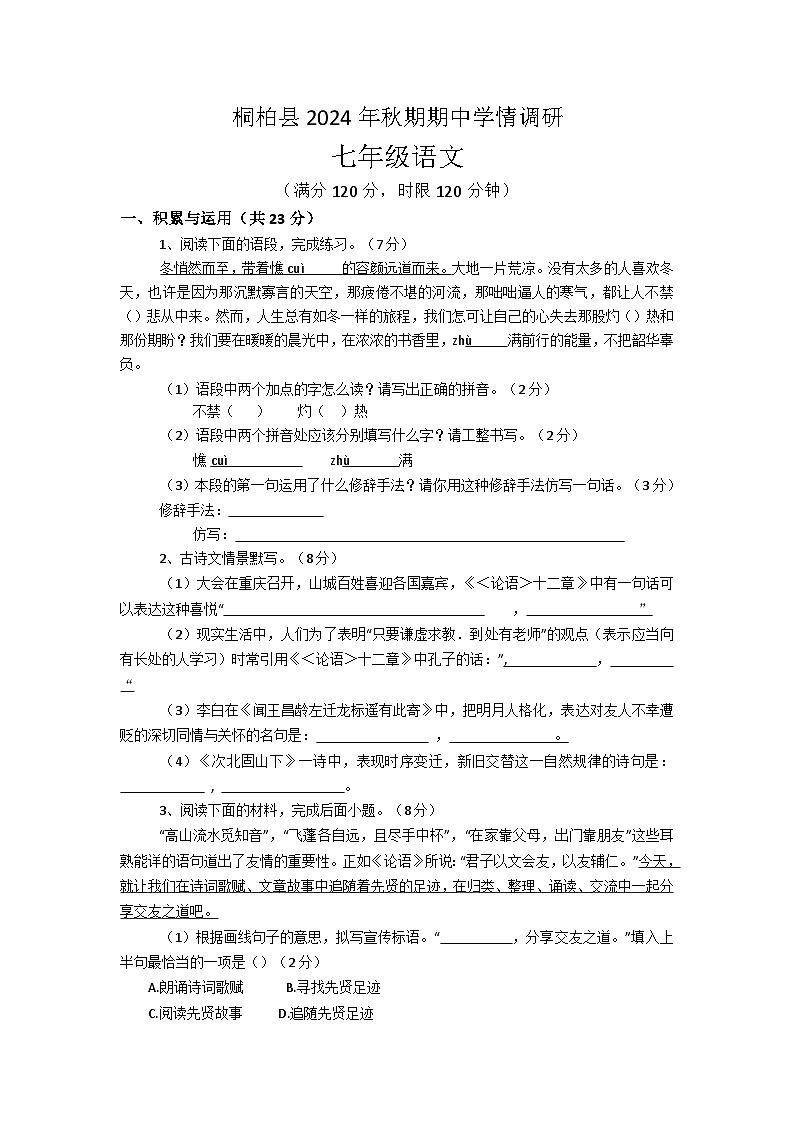 河南省南阳市桐柏县2024-2025学年七年级上学期11月期中语文试题01