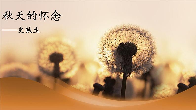 初中语文新人教部编版七年级上册第5课《秋天的怀念》教学课件（共2课时）（2024秋）第5页