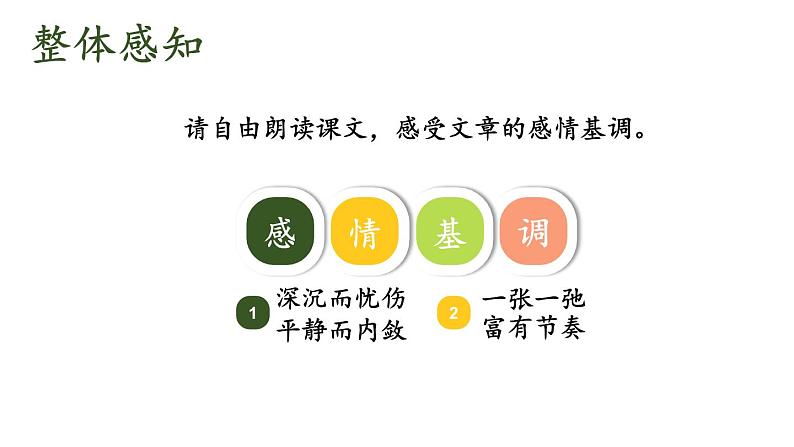 初中语文新人教部编版七年级上册第5课《秋天的怀念》教学课件（共2课时）（2024秋）第8页