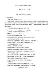 山东省菏泽市曹县2024-2025学年九年级上学期11月期中语文试题