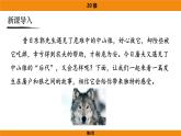 人教部编版（2024）语文七年级上册 -20《狼》（课件）