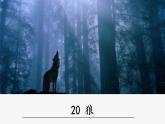 人教部编版（2024）语文七年级上册 -20《狼》（课件）