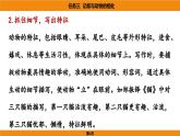 人教部编版（2024）语文七年级上册 -第五单元 任务三  记叙与动物的相处（课件）