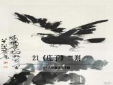部编八年级下册语文《庄子二则》北冥有鱼课件