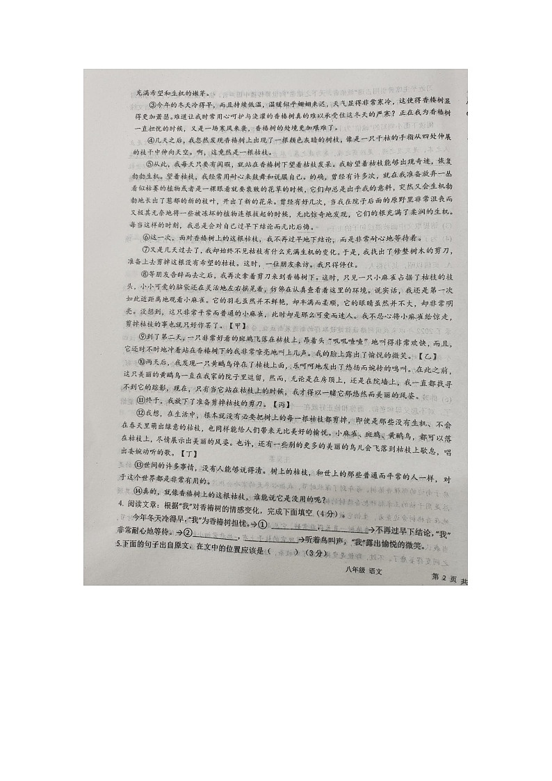 安徽省安庆市桐城市第二中学2024-2025学年八年级上学期期中考试语文试题第3页