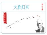 第19课《大雁归来》课件-2024-2025学年统编版七年级语文上册新教材阅读综合实践-新增课文课件（2024）