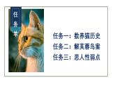 第17课《猫》课件=2024-2025学年统编版语文七年级上册