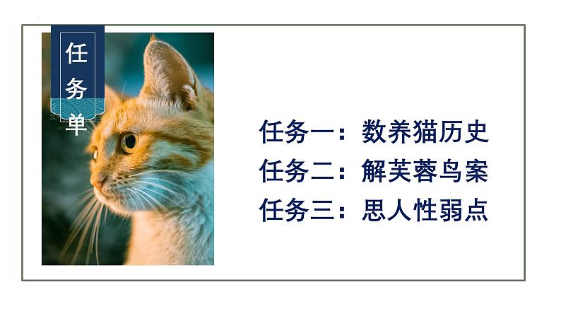第17课《猫》课件=2024-2025学年统编版语文七年级上册第5页