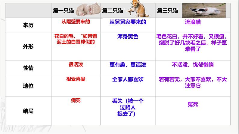 第17课《猫》课件=2024-2025学年统编版语文七年级上册第8页