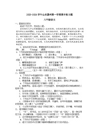 期中复习题      统编版语文八年级上册