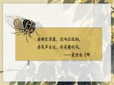 统编版语文八年级上册第21课《蝉》教学课件