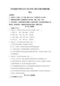 四川省泸州高级中学校2024～2025学年九年级(上)期中语文试卷(含答案)