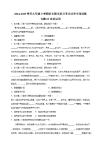 专题02+词语运用-2024-2025学年九年级上学期语文期末复习考点过关专项训练（统编版）