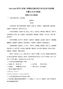 专题06+文言文阅读-2024-2025学年九年级上学期语文期末复习考点过关专项训练（统编版）