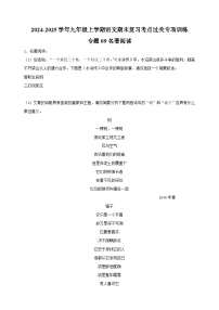 专题09+名著阅读-2024-2025学年九年级上学期语文期末复习考点过关专项训练（统编版）