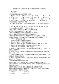 初中语文人教部编版（2024）七年级上册（2024）17 猫/郑振铎课后复习题