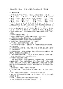 初中语文18 我的白鸽/陈忠实课后测评