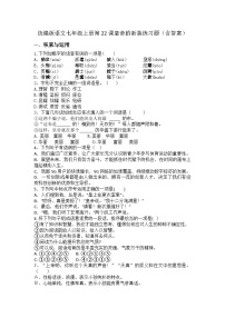 人教部编版（2024）七年级上册（2024）22 皇帝的新装/安徒生巩固练习