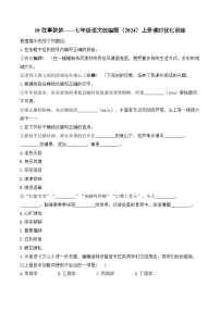 初中语文人教部编版（2024）七年级上册（2024）10* 往事依依/于漪课时作业