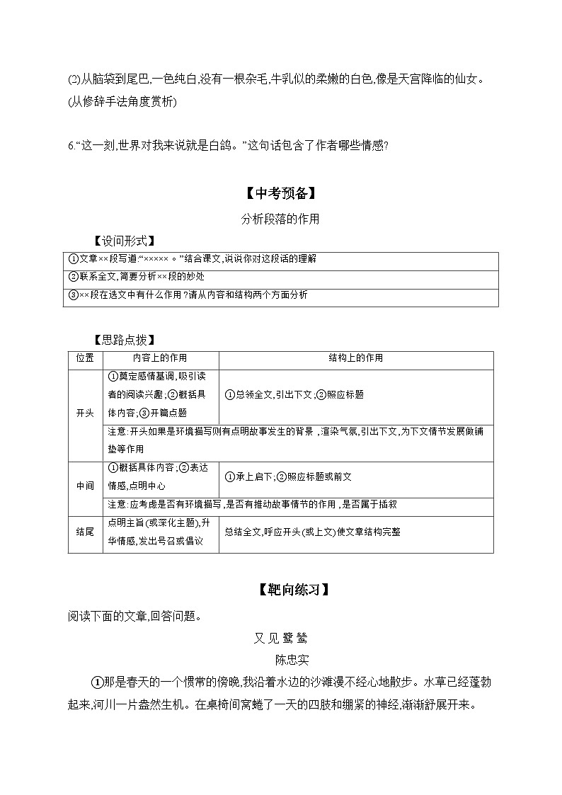 18 我的白鸽  同步练（含答案） 语文统编版七年级上册第2页
