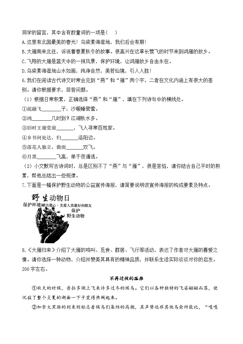 19 大雁归来——七年级语文统编版（2024）上册课时优化训练（含解析）第2页