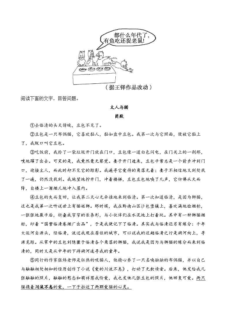17 猫——七年级语文统编版（2024）上册课时优化训练（含解析）第3页