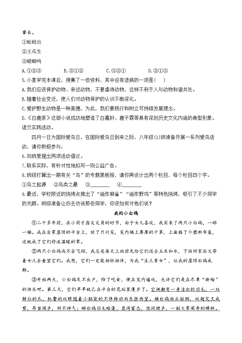 18 我的白鸽——七年级语文统编版（2024）上册课时优化训练（含解析）第2页
