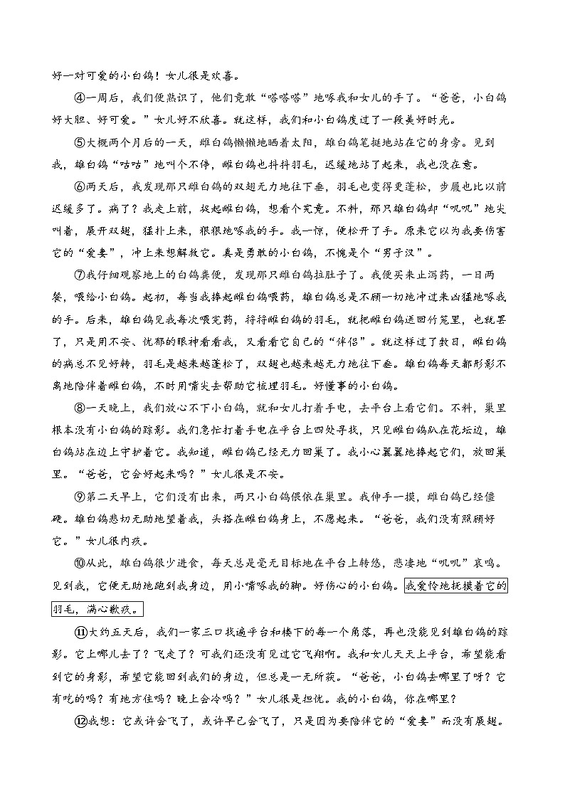 18 我的白鸽——七年级语文统编版（2024）上册课时优化训练（含解析）第3页