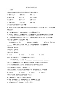 人教部编版（2024）七年级上册秋天的怀念课时作业