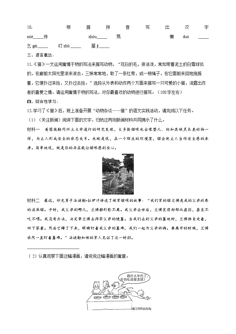 部编版语文七年级上册 17  猫 同步分层作业（含答案解析）第3页