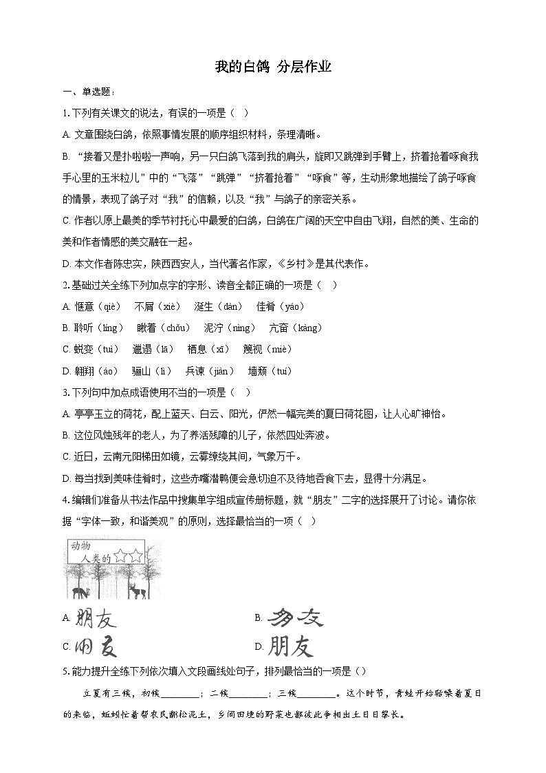 部编版语文七年级上册 18  我的白鸽 同步分层作业（含答案解析）01