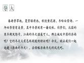 （部编版2024）七年级语文上册2《济南的冬天》 课件