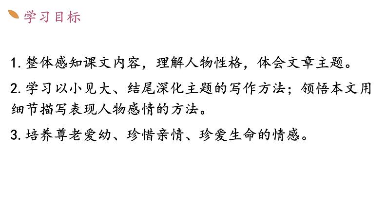 （部编版2024）七年级语文上册6《散步》 课件第3页