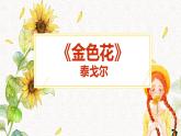 （部編版2024）七年級語文上冊7《散文詩二首——金色花》 課件