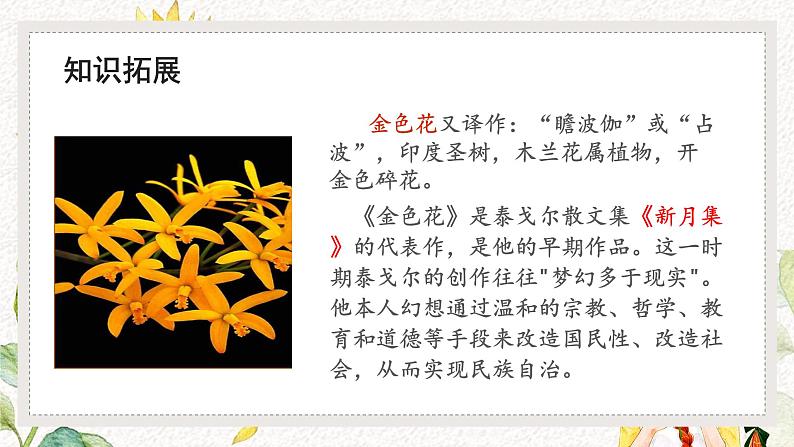 （部编版2024）七年级语文上册7《散文诗二首——金色花》 课件第5页