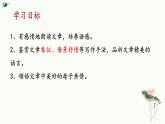 （部编版2024）七年级语文上册7《荷叶·母亲》 课件