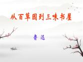 （部编版2024）七年级语文上册9《从百草园到三味书屋》 课件