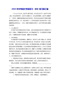 2025年中考语文专题复习：仿句 练习题汇编（含答案）