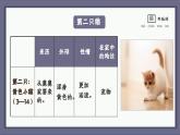 部编版七上语文第16课《猫》同步课件及教学设计