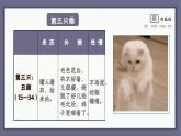部编版七上语文第16课《猫》同步课件及教学设计