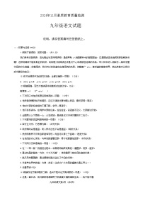 山东省菏泽市曹县2024-2025学年九年级上学期11月期中语文试题（含答案）