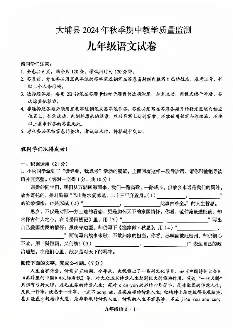 广东省梅州市大埔县2024-2025学年九年级上学期11月期中语文试题第1页
