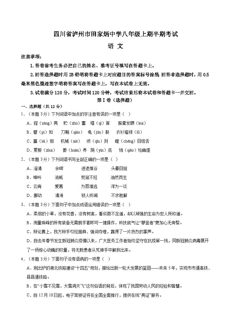 四川省泸州市田家炳中学2024-2025学年八年级上学期11月期中语文试题第1页