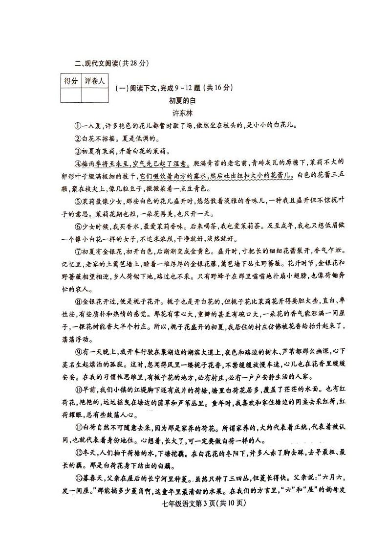 河南省漯河市舞阳县2024-2025学年七年级上学期期中考试语文试卷03