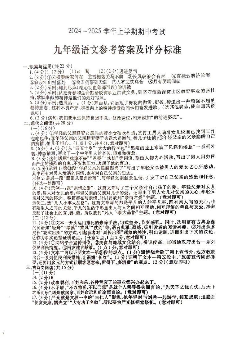 河南省漯河市舞阳县2024-2025学年九年级上学期期中考试语文试卷01