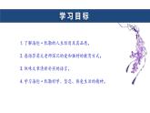 第11课《再塑生命的人》课件  2024-2025学年统编版语文七年级上册