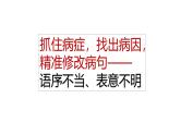 2025年中考语文一轮复习专项：《抓住病症，找出病因之语序不当、表意不明》课件