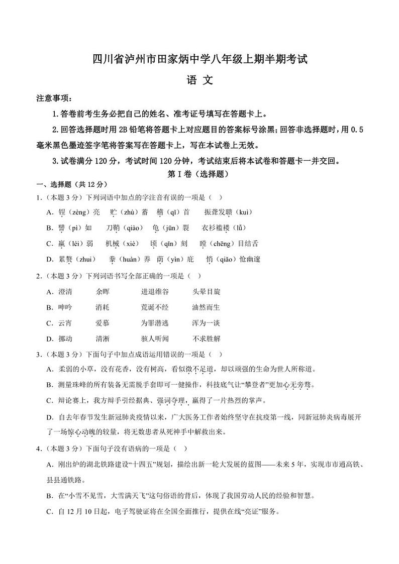 2024～2025学年四川省泸州市田家炳中学八年级(上)期中语文试卷(含答案)第1页